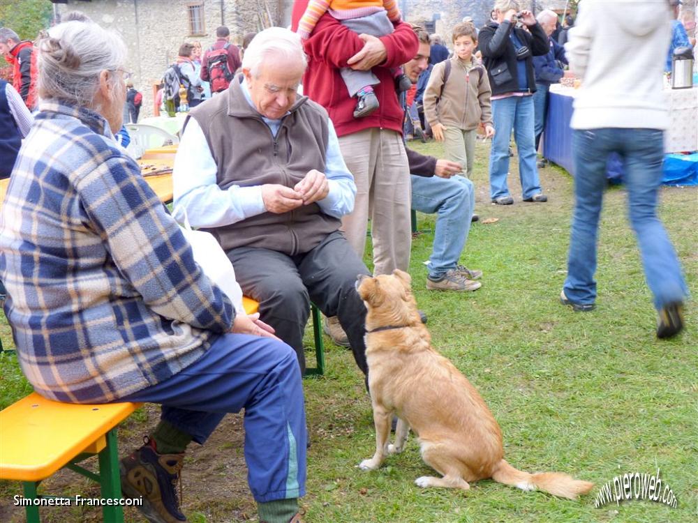 27 La Lola aspetta obbidiente le caldarroste.JPG